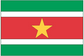 Suriname flag sticker with green, white, red stripes and a yellow five-point star