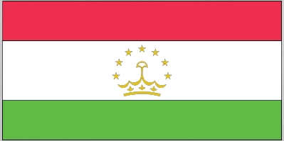 Tajikistan flag sticker with red, white, and green bands and gold crown with stars