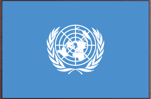 United Nations flag sticker with white UN emblem centered on blue background