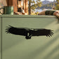 Black hawk silhouette decal on pale green surface