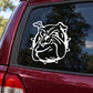 Bulldog eyeing decal, white outline bulldog face graphic on car window glass