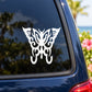White ornate butterfly vinyl decal on window glass