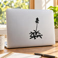 Black cactus flower decal on laptop lid