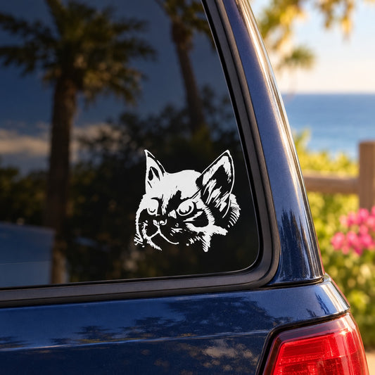 White kitten face marking decal on dark car window glass