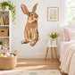 Brown and cream Easter bunny looking sticker with sitting pose and outlined details