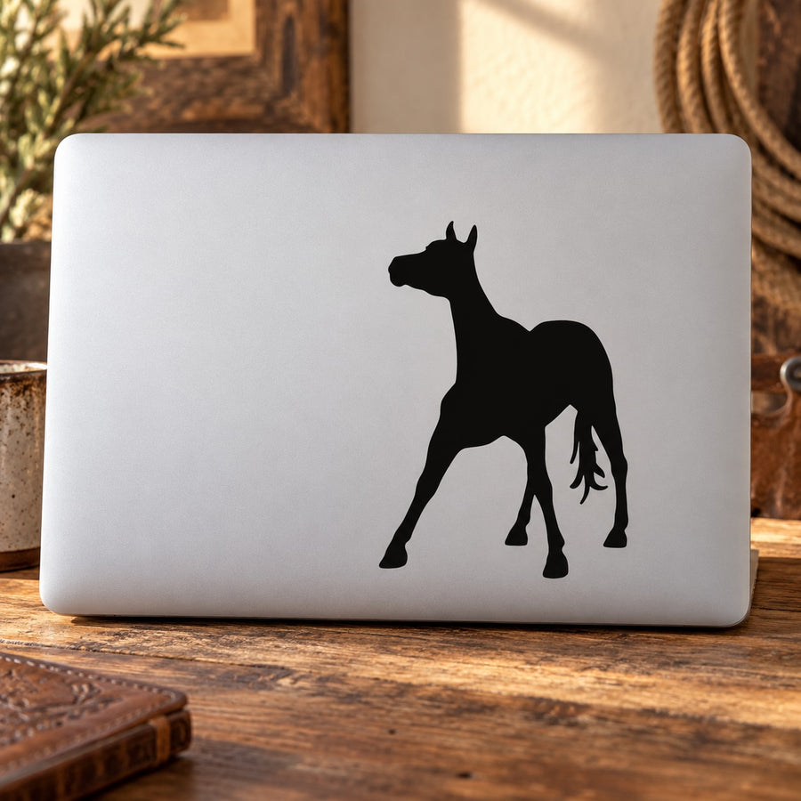 Standing foal decal sticker, black horse silhouette on white rectangular backing