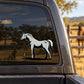 White horse and green cactus decal on a car window