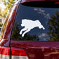White jumping Rottweiler decal on a car rear window