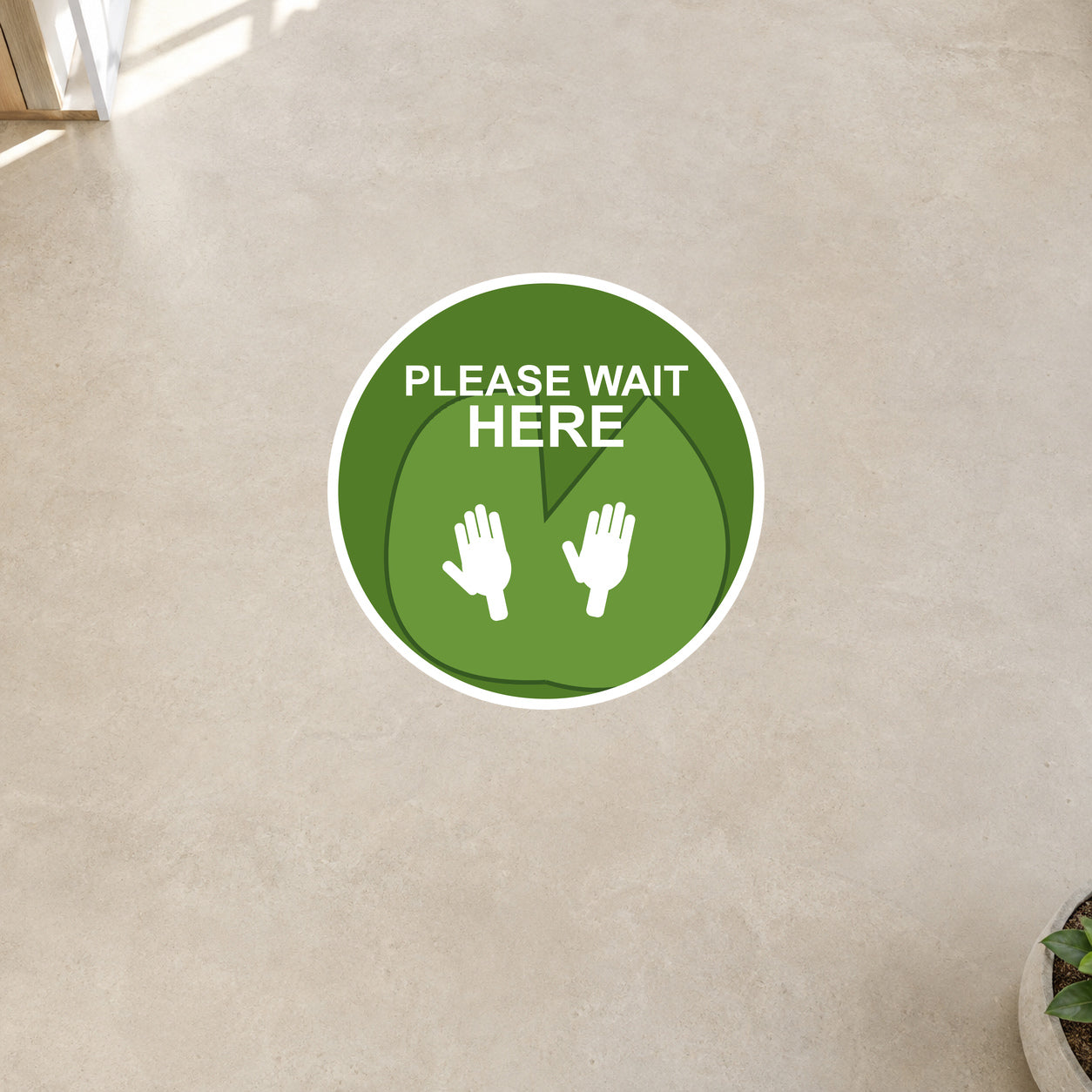 12" Lilypad Please Wait Here Non-Slip Flooring Sticker - Multi-Pack applied in Directly overhead view of smooth light cream visitor centre floor, tiny planter foot only far lower right edge, gentle natural daylight