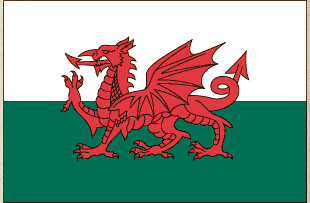 Wales flag sticker with red dragon on green and white background