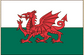 Wales flag sticker with red dragon on green and white background