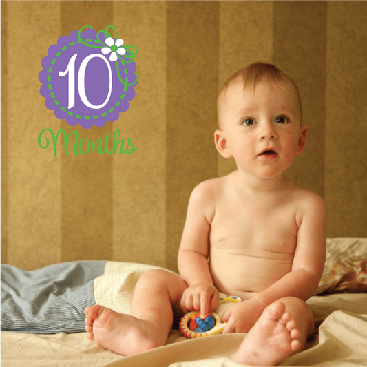 Image of 10 Month Wall Decal