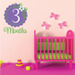 Wall decal with large purple “3” and green “Months”, plus pink flower accents