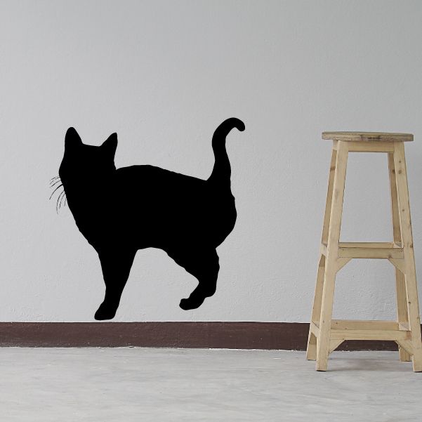 Image of Adoring Looking Cat Decal