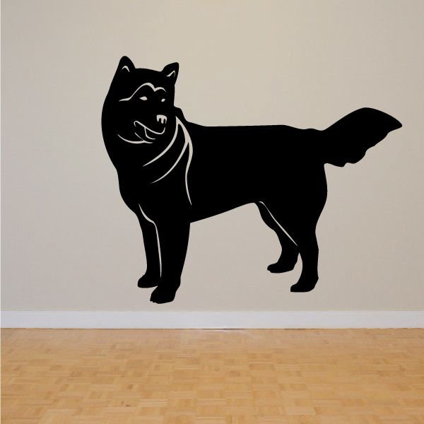 Black Alaskan Malamute wall decal, dog standing and looking up.