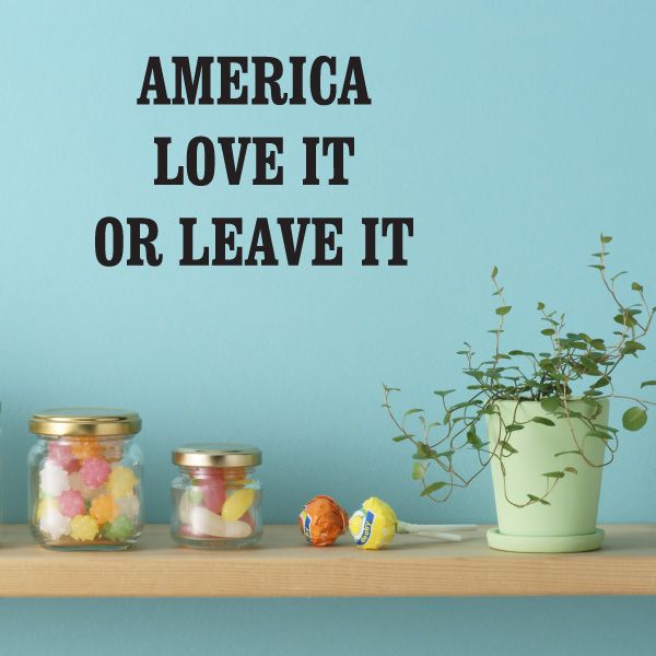America Love It Or Leave It decal with bold black text