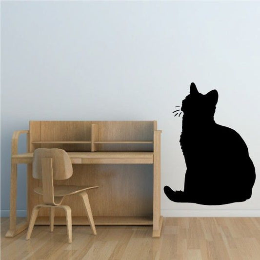 Image of American Shorthair Cat Decal