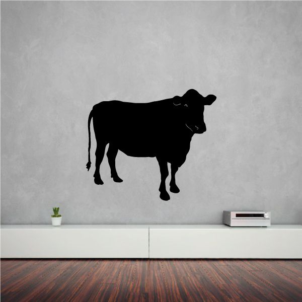 Image of Angus Cow Watching Decal