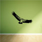 Hawk decal sticker with black flying bird silhouette