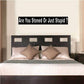 Wall decal with text 'Are You Stoned Or Just Stupid?' in black lettering