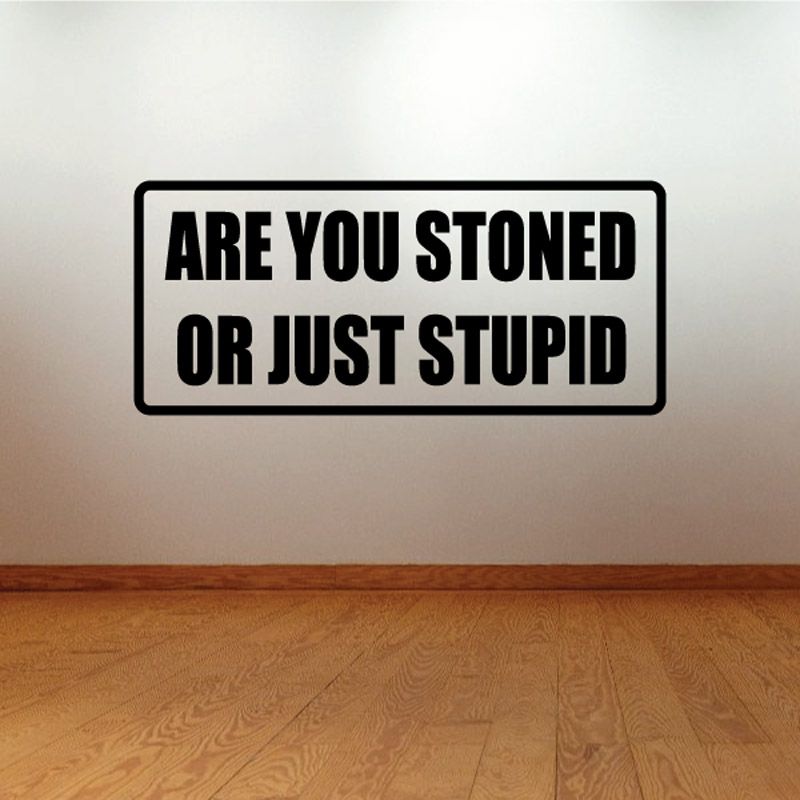 Image of Are you stoned or just stupid Decal