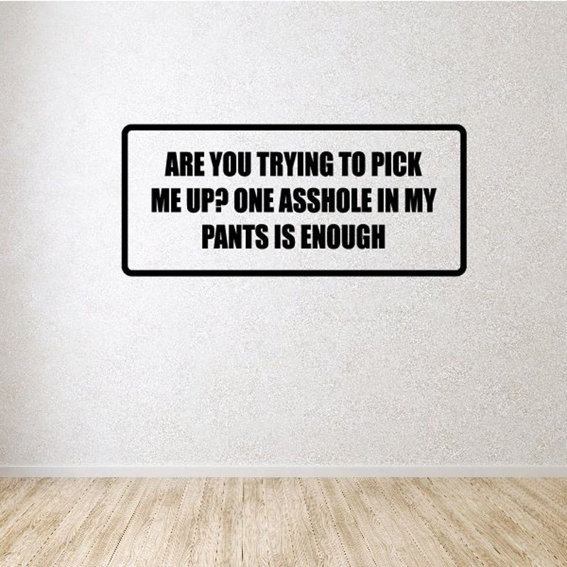 Image of Are you trying to pick me up One a**hole in my pants is enough Decal