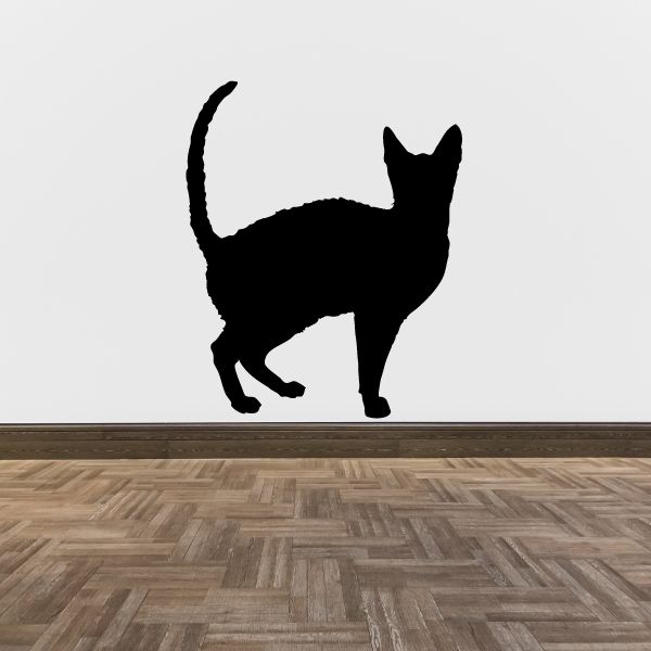 Image of Awake Cat Decal