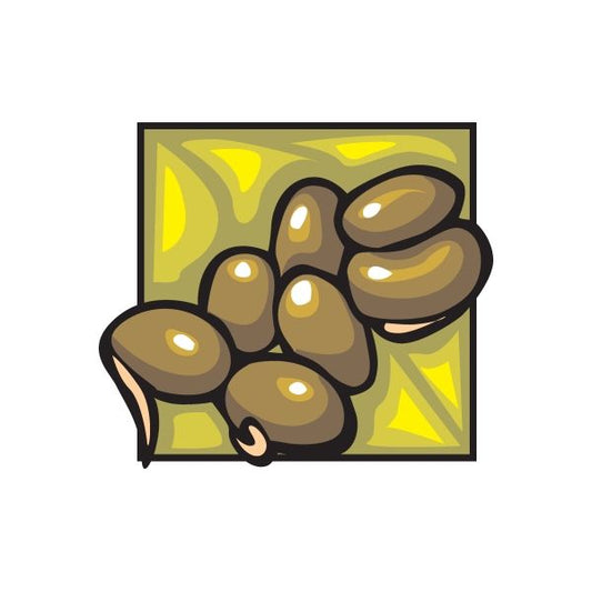 Image of Bean Sprouts Sticker