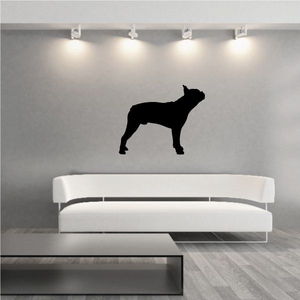 Boston terrier decal with black dog silhouette, standing in profile