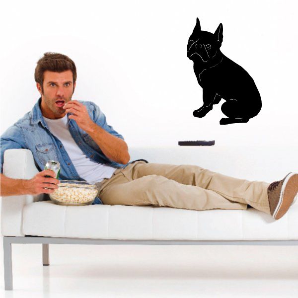 Black Boston terrier puppy wall decal, sitting pose