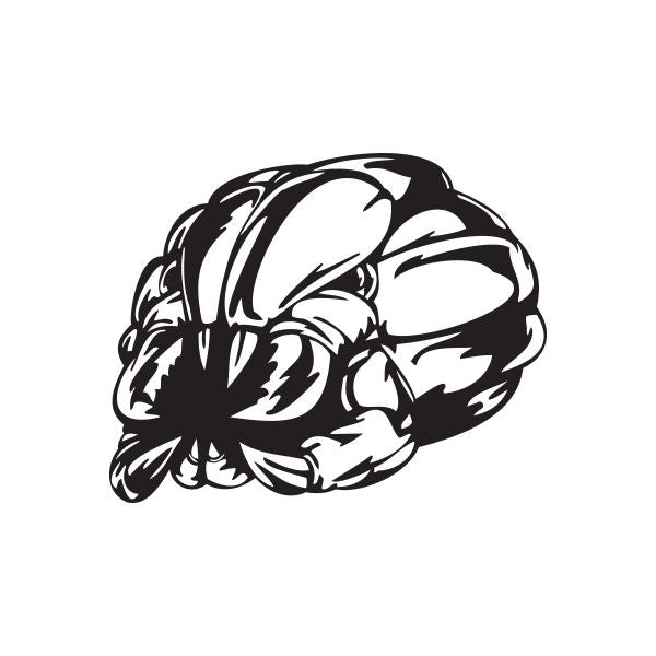 Image of Bug School Mascot Decal