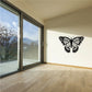 Black butterfly vinyl wall decal with detailed wings on light wall