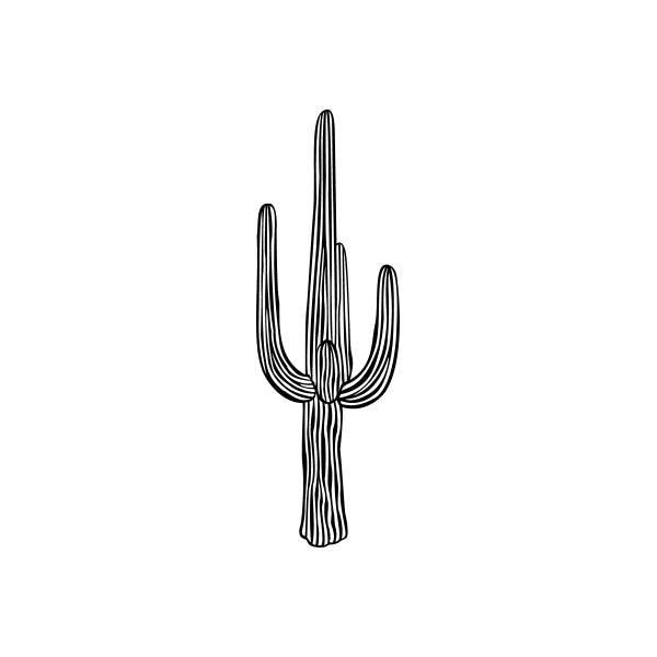 Image of Cactus Decals