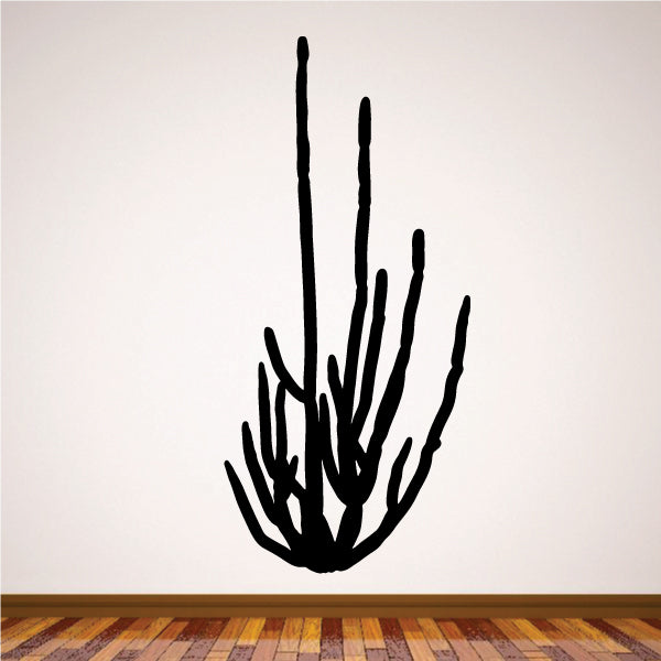 Image of Cactus Decals