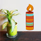 Image of Candle Stickers