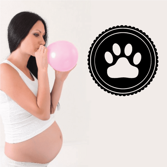 Image of Cat Paw Print Circle Decal