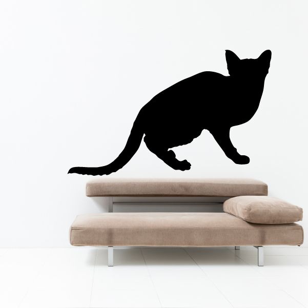 Image of Cowering Cat Decal