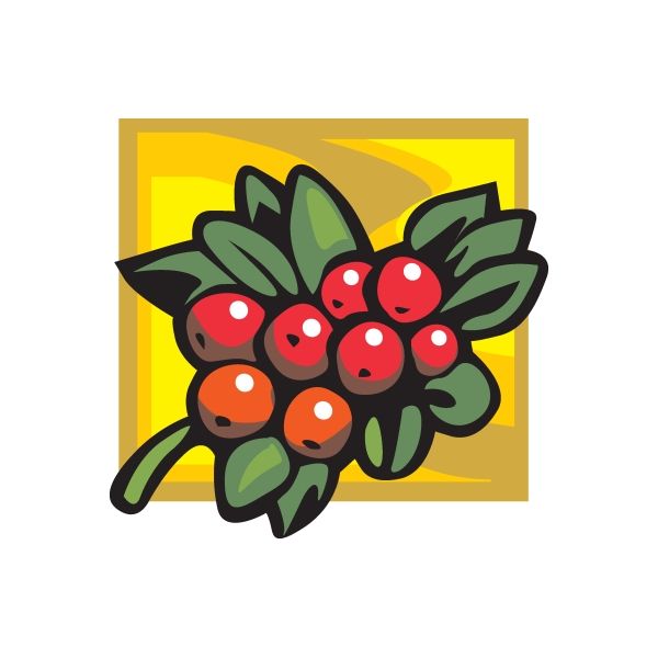 Image of Cranberries on a bush Sticker