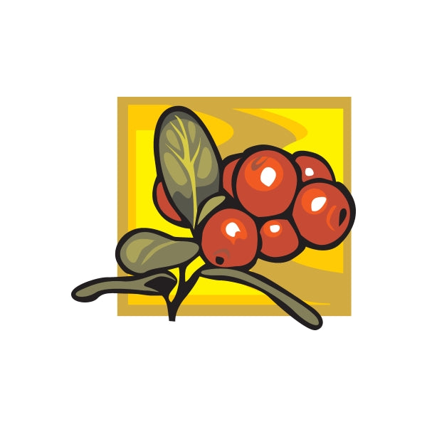 Image of Cranberry Sticker