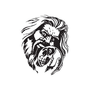 Skull decal with crystal ball and flowing hair, monochrome black and white graphic