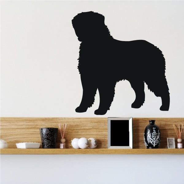 Image of Curioius Bernese Mountain Dog Decal