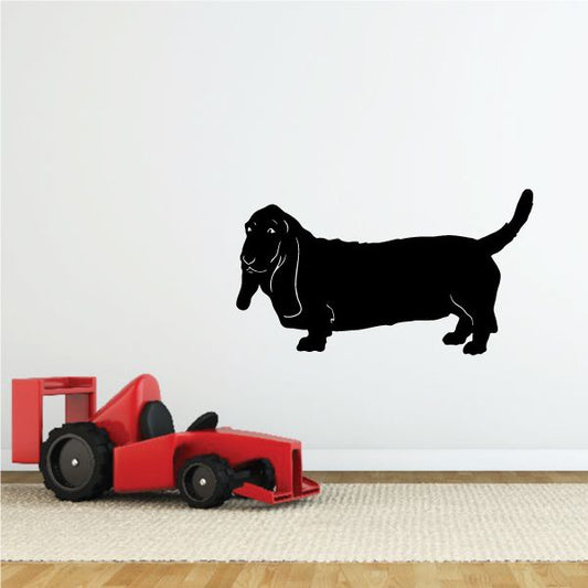 Image of Curious Basset Hound Decal