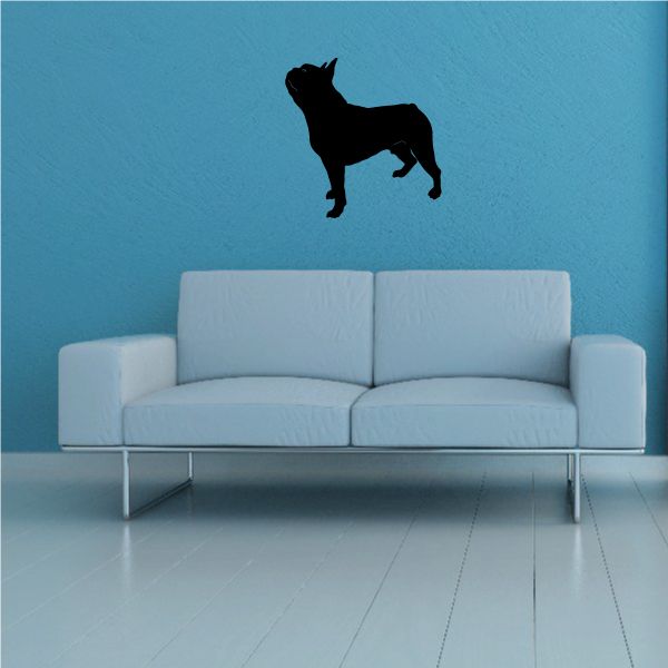 Boston Terrier decal, black dog silhouette standing on a wall