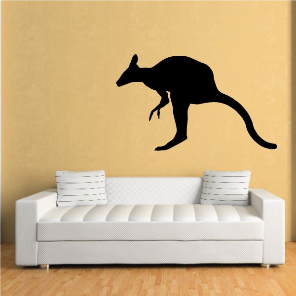 Image of Curious Kangatoo Decal