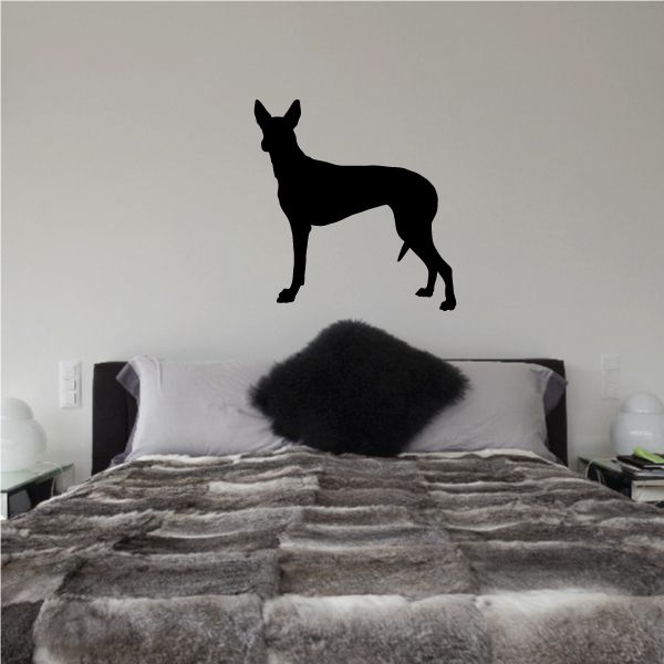 Image of Curious Pharaoh Hound Decal