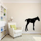 Standing foal wall decal, black horse silhouette.