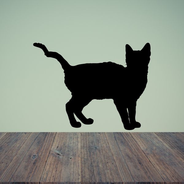 Image of Curious Staring Cat Decal