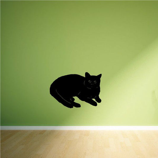 Image of Curled Cat Decal