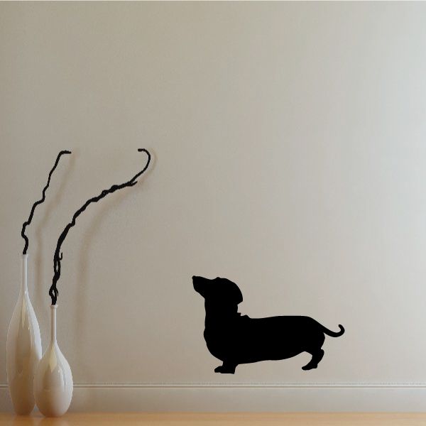 Black dachshund looking up wall decal silhouette