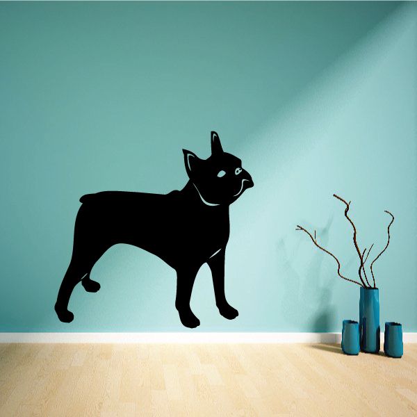 Black Boston Terrier wall decal with white chin and chest markings